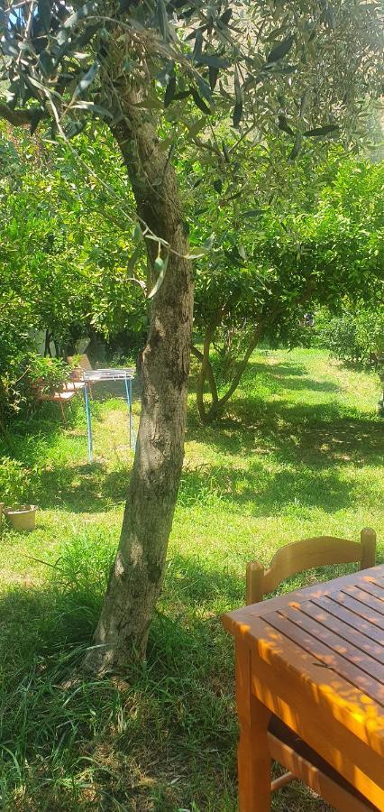 Xho'S Forest Guest House Berat Exterior photo