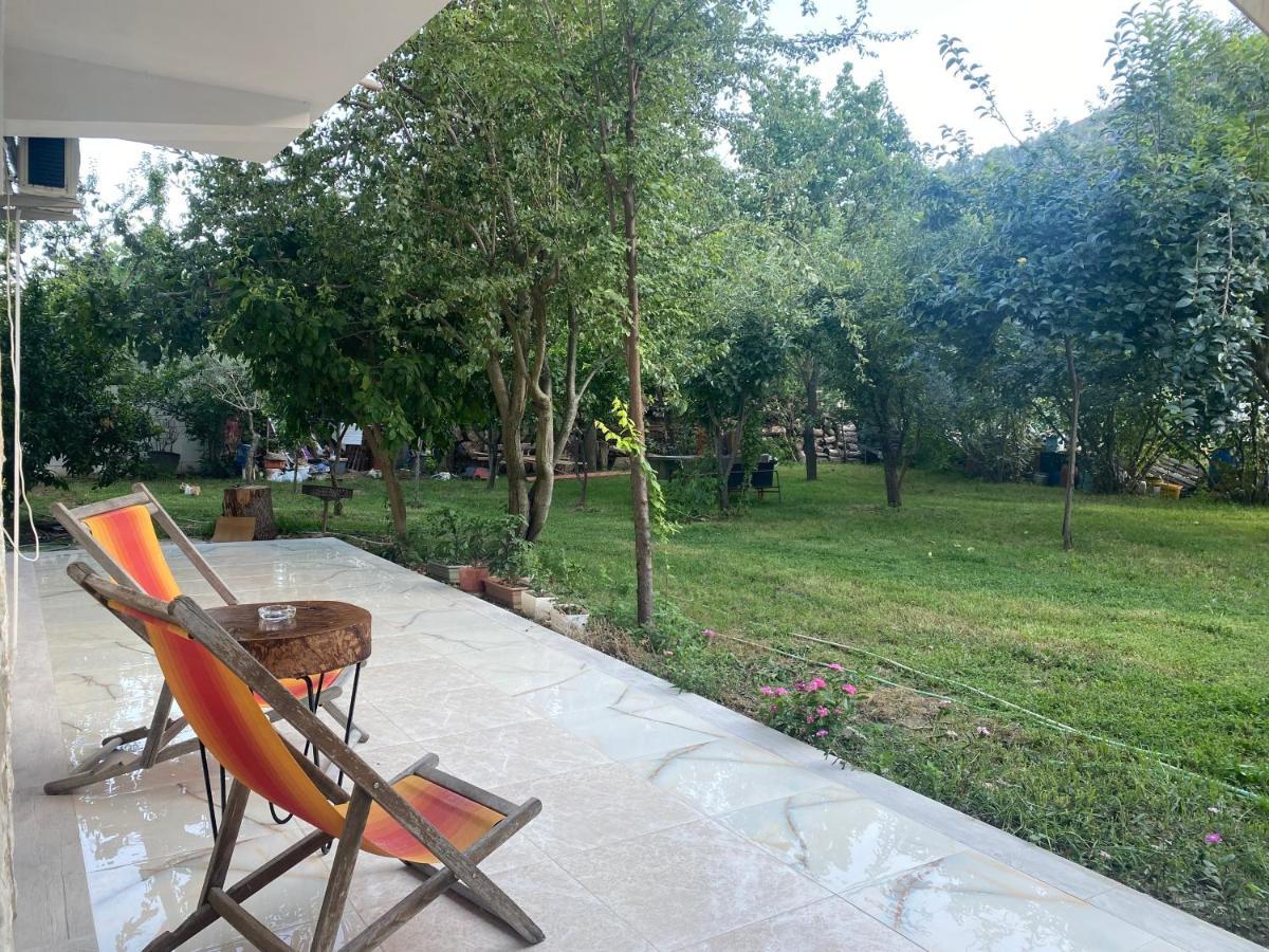 Xho'S Forest Guest House Berat Exterior photo